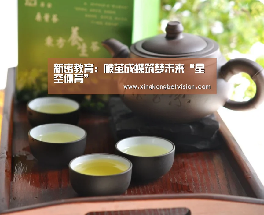 新密教育:破茧成蝶筑梦未来“星空体育”(图2) 星空平台